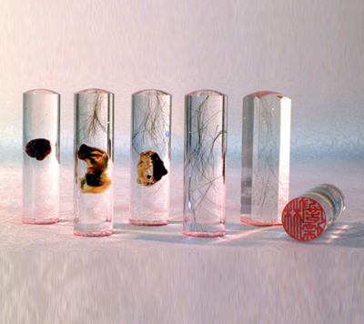 ʥ�۾þ�̥ë�� ӡ�C�����ĳ��L(zh��ng)�v��