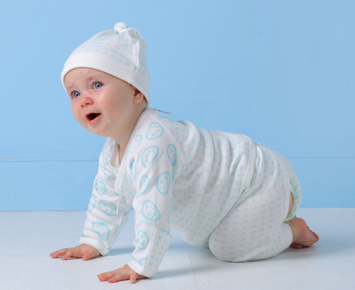 ź���ϋ냺�B�w���{(l��n)ɫ