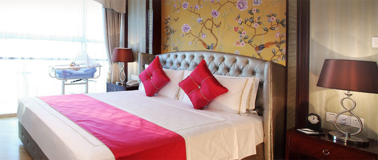 ܰ�R�����������ӕ�(hu��)��������