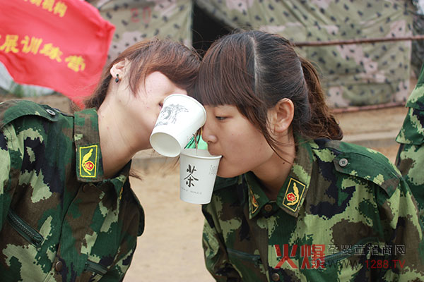 2013������չ��Ӗ(x��n)