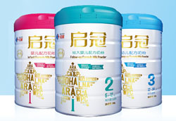 �t�ǋ��׃��̷�����ȫ���������M(j��n)����