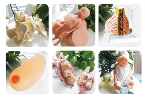 �옷����yunf�W(xu��)У�̌W(xu��)�þ�