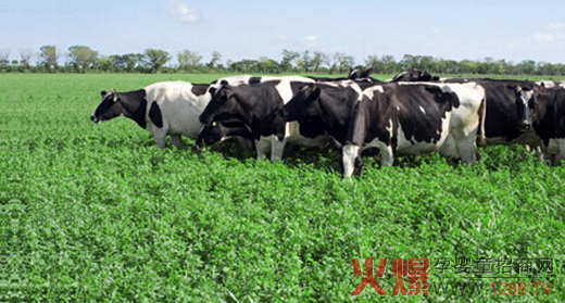 �ƿ���Դ����