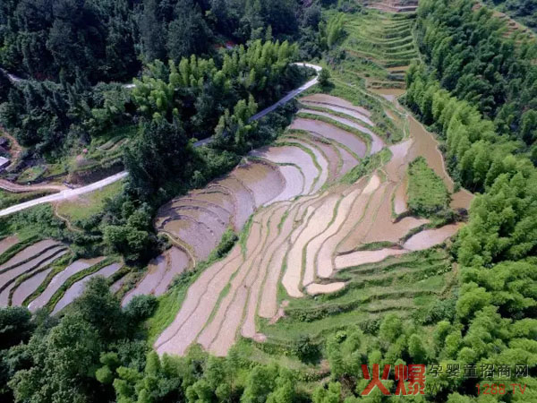 Ʒ�|(zh��)��������֮���׷���Π�ȡһ�����B�iĸ������