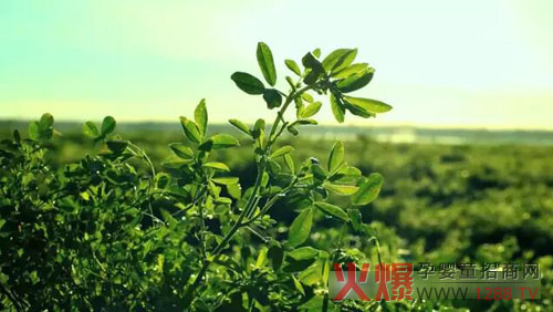 �xɽţ�̟���ӛ��������(ch��ng)������ �����֎ײ���