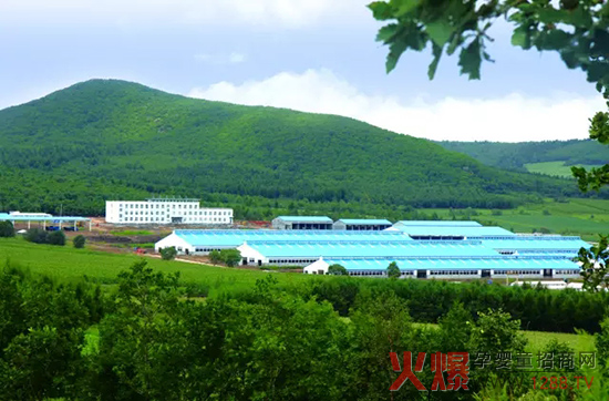 �l(f��)չ���w��(j��ng)��(j��)�����_(d��)ɽ���Єӣ�