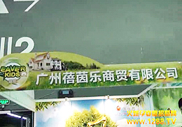 �V���������Q(m��o)���޹�˾����2012�꾩���V��չ