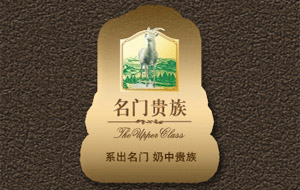 ���T�F��