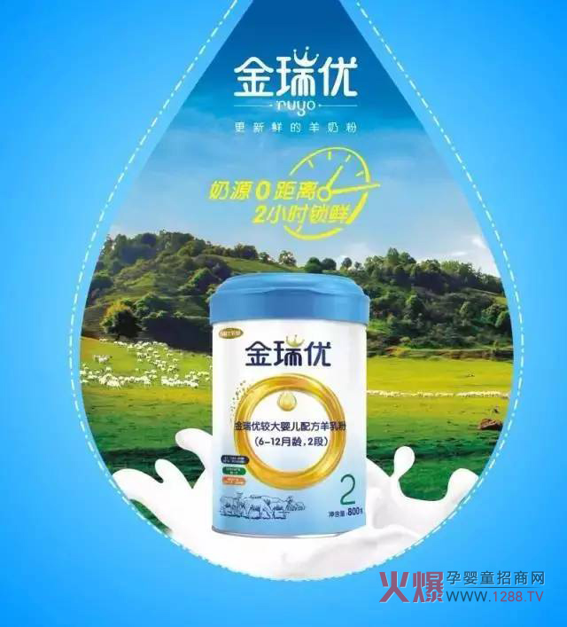 ���̷�+OPO�����ж����