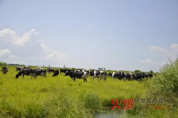 ���_(d��)ɽ�̷۞�Ε��ܵ��@ô���˵�ϲ����