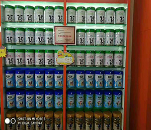  �T�����չʾ