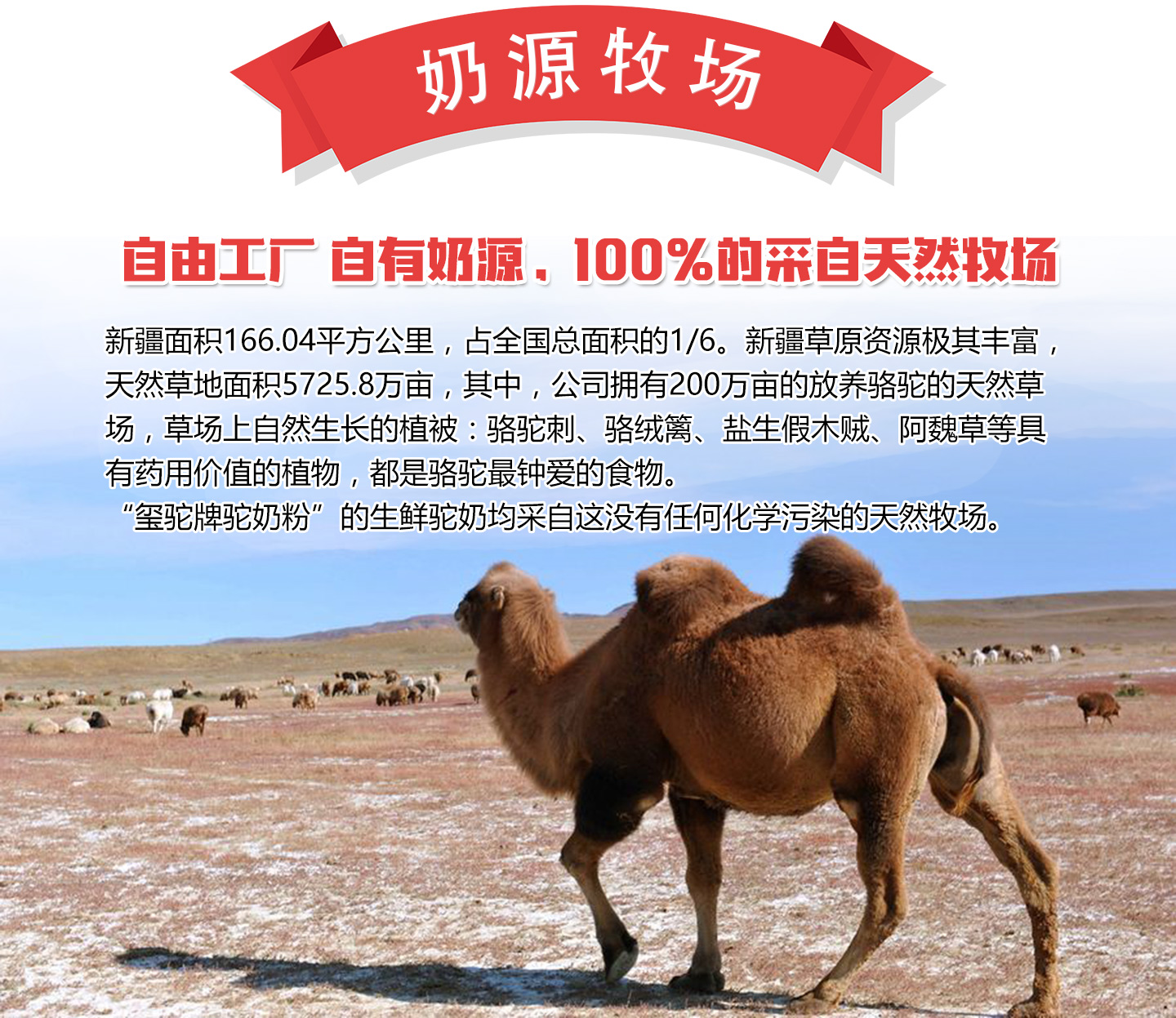  ���R(sh��)�t�������Դ����