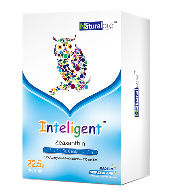  ������S�|���z�ǹ�