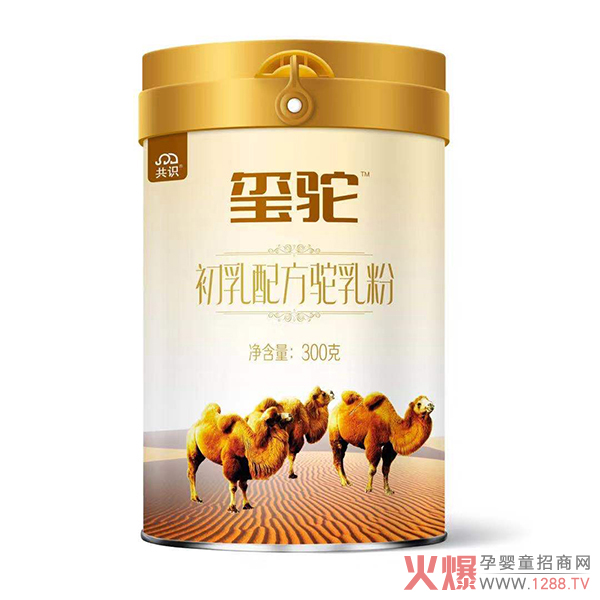 2020�Ă�(g��)���ӵ��̷ۺ��u��׌�t����۽o�����