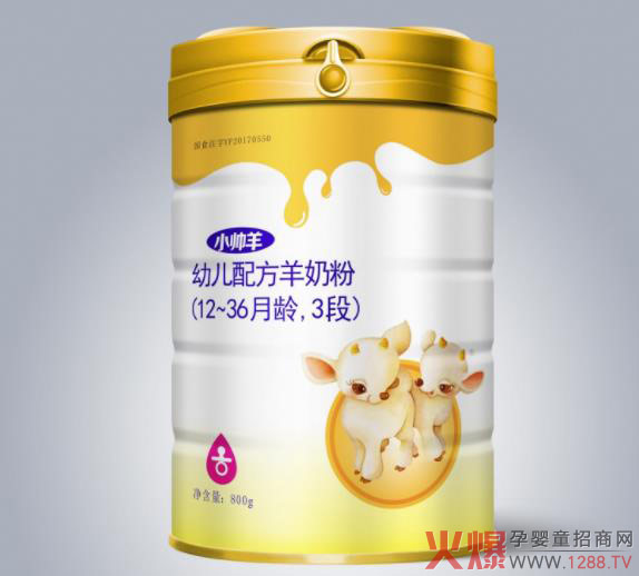 С�������̷� �\(ch��ng)��ȫ��(gu��)��(j��ng)�N(xi��o)����