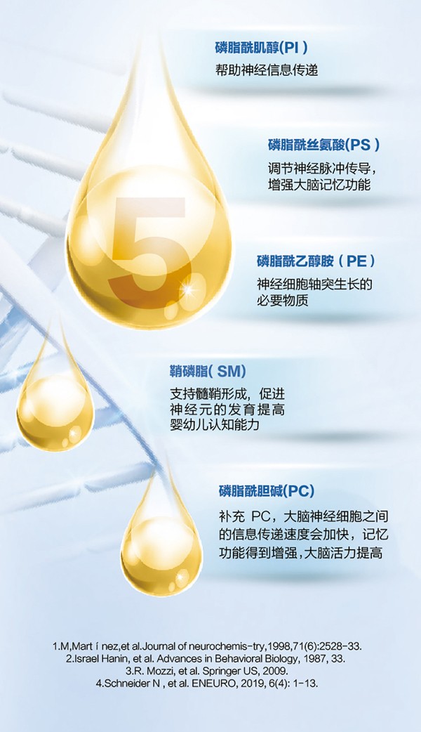   ؐ������Խ�׃��䷽�̷�(12-36���g��3��)4