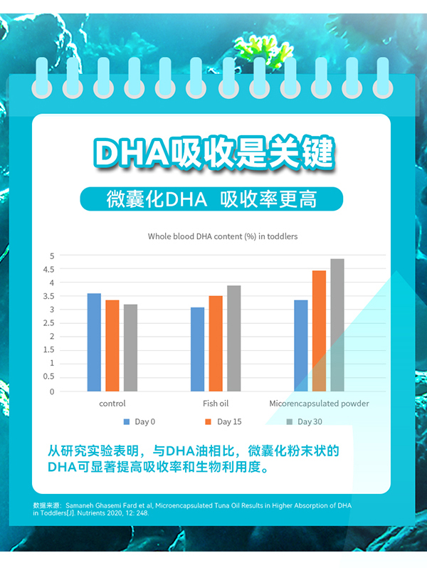 動(dòng)力寶寶多肽DHA_05.jpg
