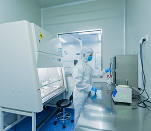  ��������S19