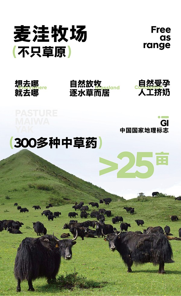 麥洼牧場牦牛奶.jpg 麥洼牧場牦牛奶.jpg