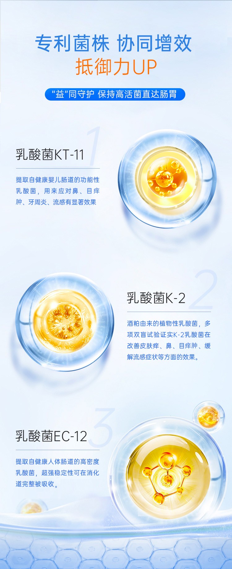 康葉抗敏乳酸菌詳情 (5).jpg