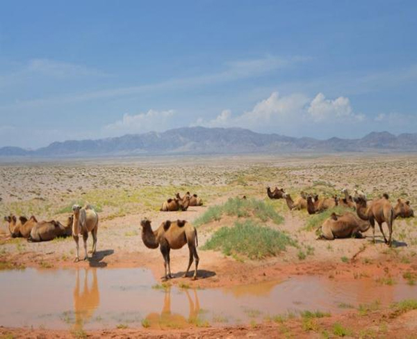 ���ƽz�ĸ�댣�������\(ch��ng)�д���������ģʽ���´������o(h��)ȫ�ҽ������\(ch��ng)�����ļ�����