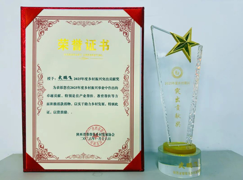 �����V���`���� �A���I(xi��n)�����d�������i�w�s�@2025����l(xi��ng)�����dͻ��ؕ�I(xi��n)��