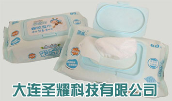 ���Bʥҫ�Ƽ����޹�˾