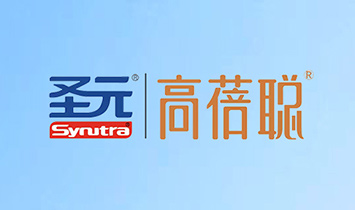 ʥԪ��(y��u)ؐ�W���������\(y��n)�I(y��ng)����