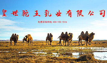 �½����������I(y��)���޹�˾