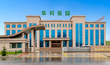 �A�猍�I(y��)���F