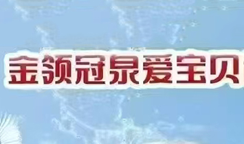 ���I��Ȫ�ی�ؐ