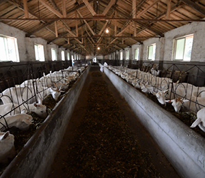 ��Դ����