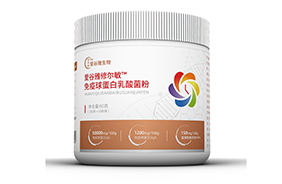 ��(��i)�����ޠ��������򵰰��������