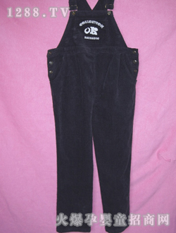 �ی��ʋ����о�q����ѝ