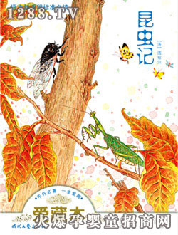 ����(r��n)ꖹ⡶���xӛ��