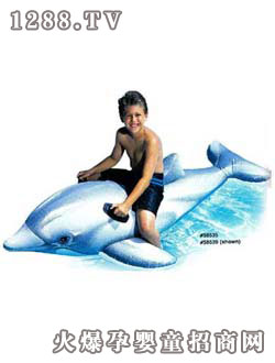 INTEXϵ��-�������T