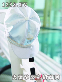 ������ñ��