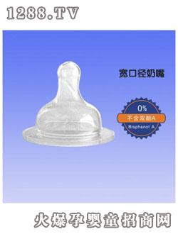 ���ی��ڏ�����