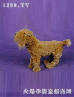 ���ҷ�������L(zh��ng)ë�S����