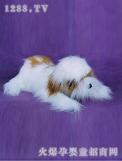 ���ҷ�������L(zh��ng)ë�װȹ�