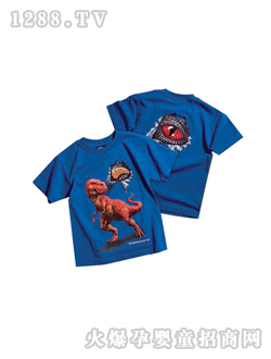 �ϼ{���{ɫT��