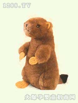 ������������B��