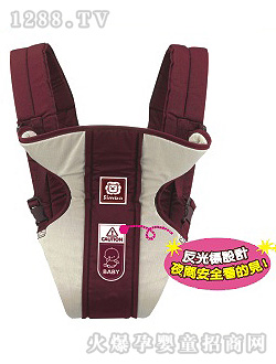 ���ރ�С�{�������p���ͱ���