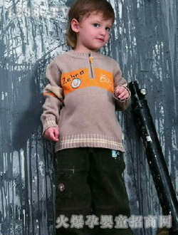 �����R��ɫ���b