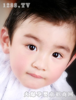 �����ɐ�(��i)��