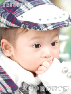 �ɐ�(��i)����������