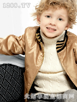 ��Ψ���SɫƤ��