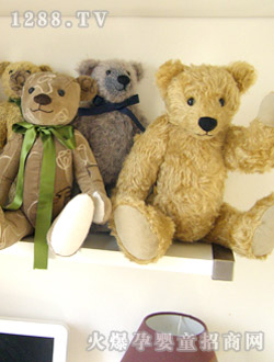 天心褐色泰迪熊