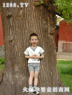 ɭ�ŵ��������(sh��)��