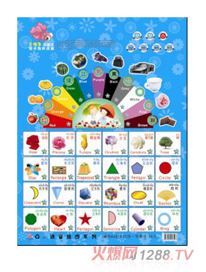 �x��(sh��)��PT����D��Ӣ�����